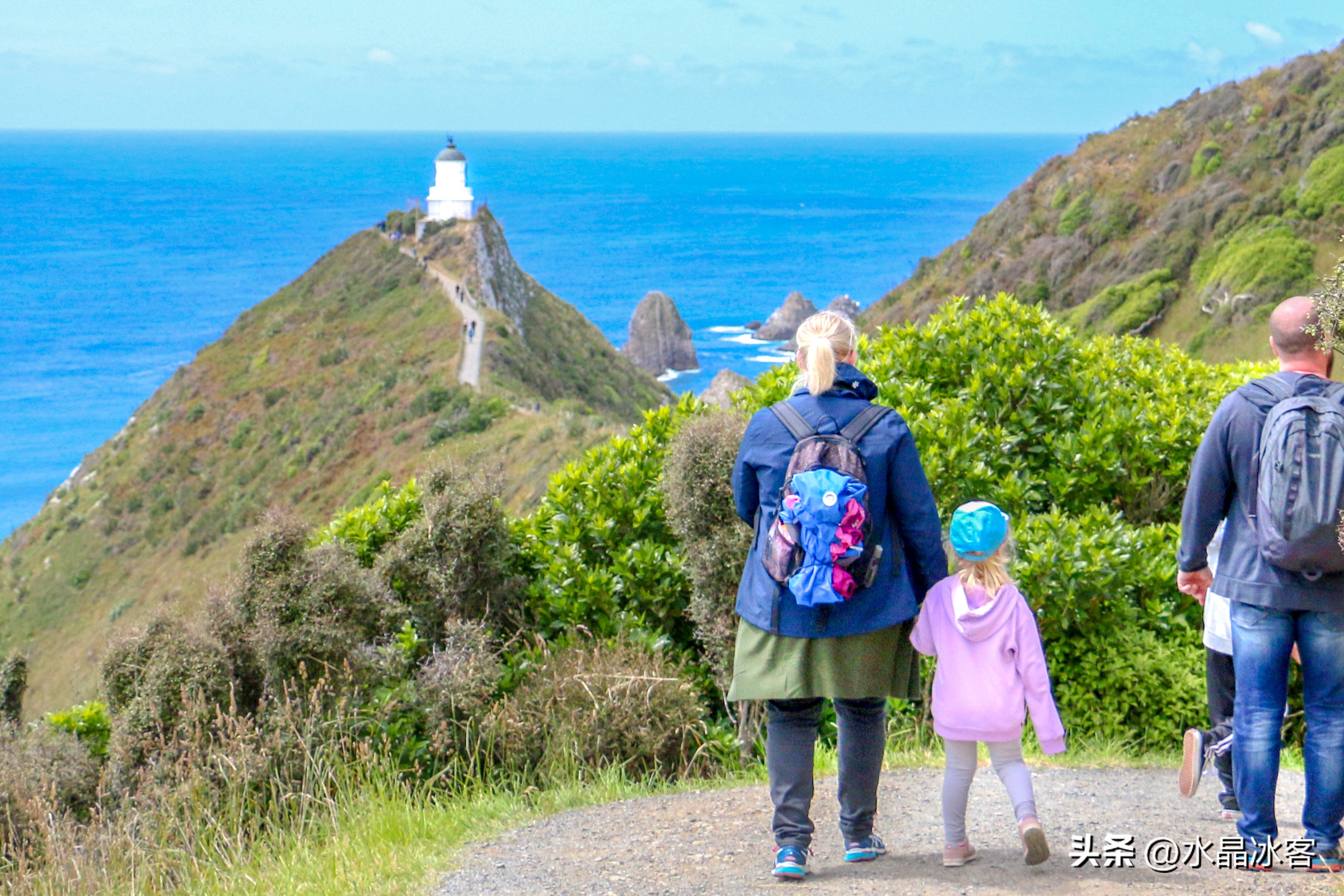 南岛新西兰之旅,新西兰之南岛