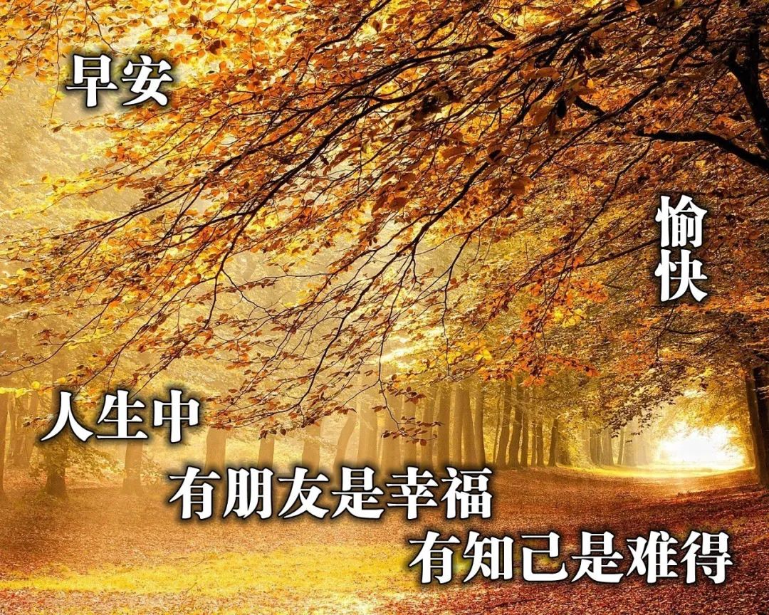 周三早上好祝福语大全,周一早上好微信祝福语大全