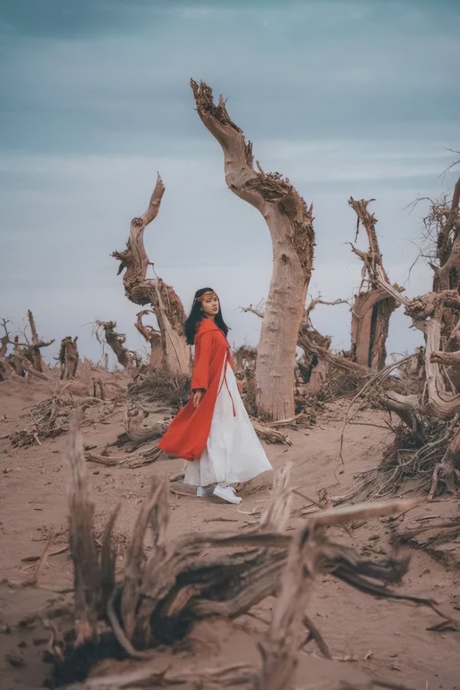 全世界仅存三处！一年只美21天！这场“黄金盛宴”，只因它而起