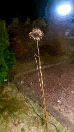 风大代表什么天气,风大是什么游戏