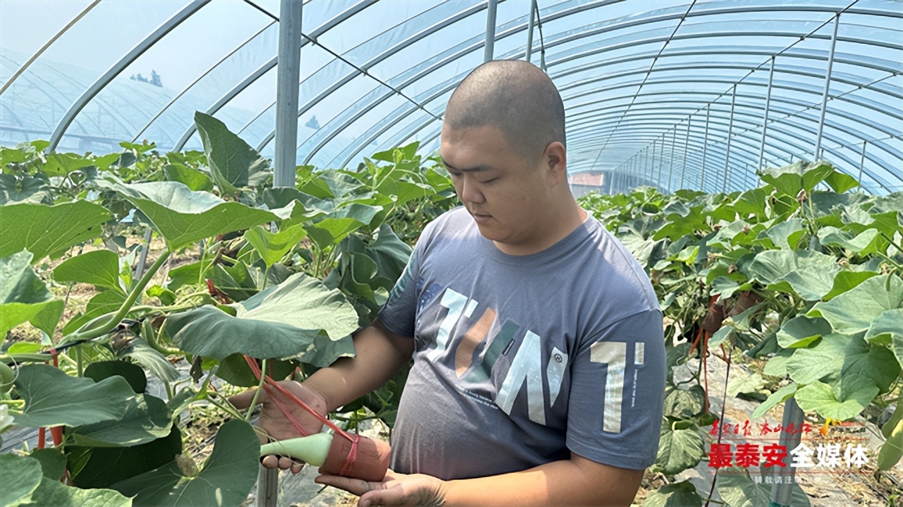 “90后”村支书刘腾潇：带领群众种出增收致富“金葫芦”