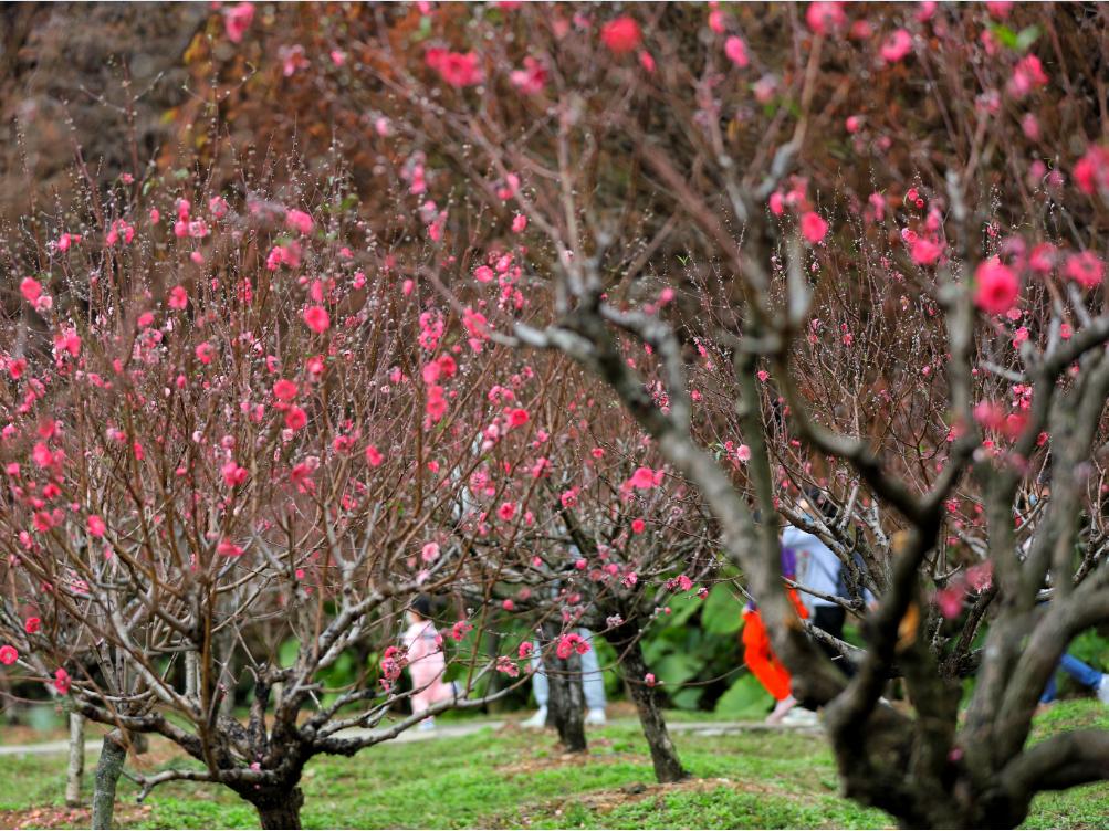肇庆天气预报7天,肇庆未来7天天气