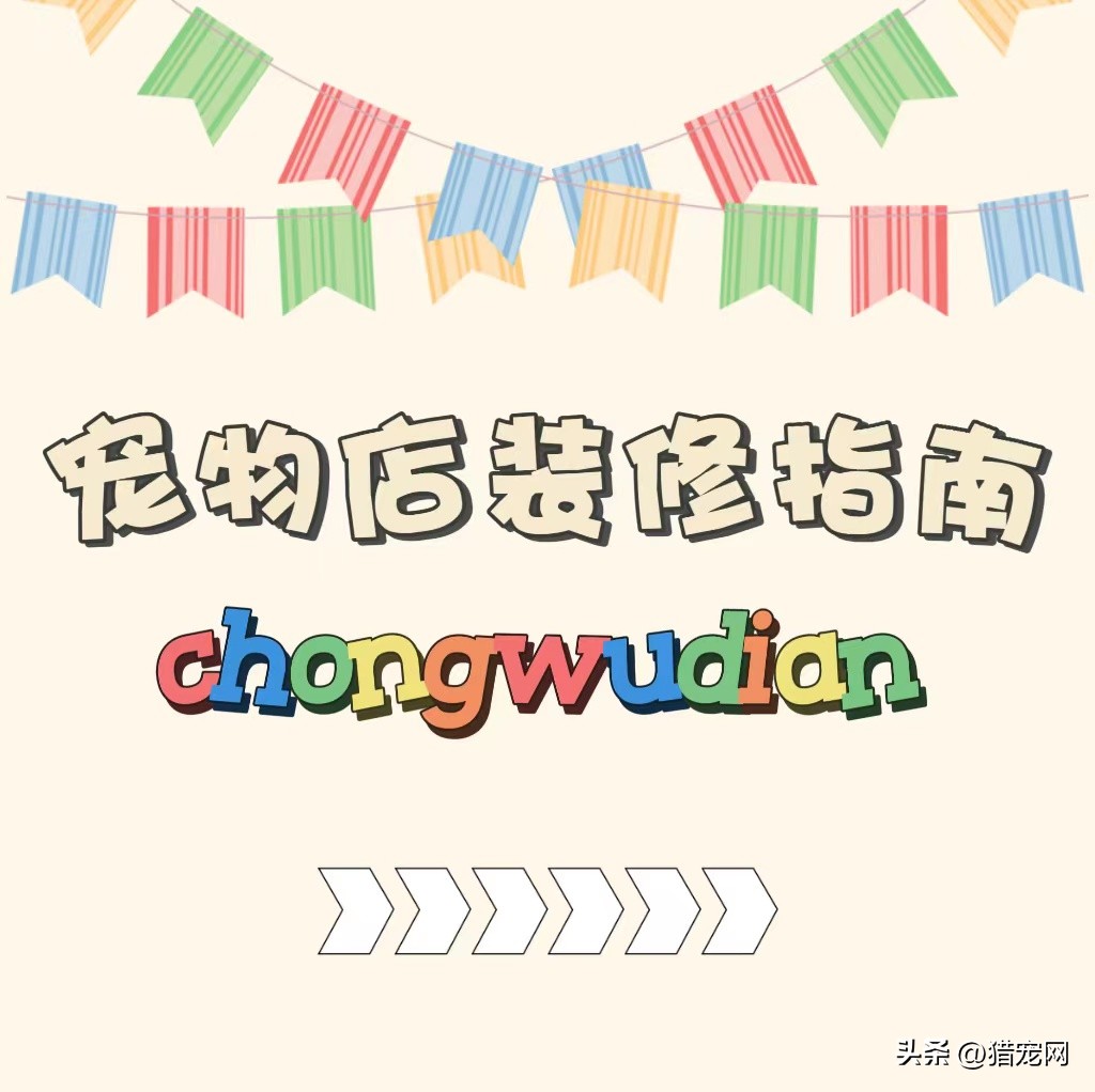 小宠物店精品装修,宠物店怎么装修划算