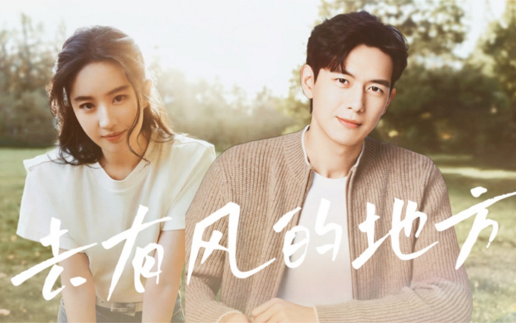 2023年豆瓣高分电视剧,2023国内豆瓣高分电视剧