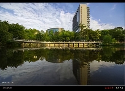 鐗圭珛瑗垮崡鐙澶╀笅,瑗垮崡澶у寮傚啗绐佽捣