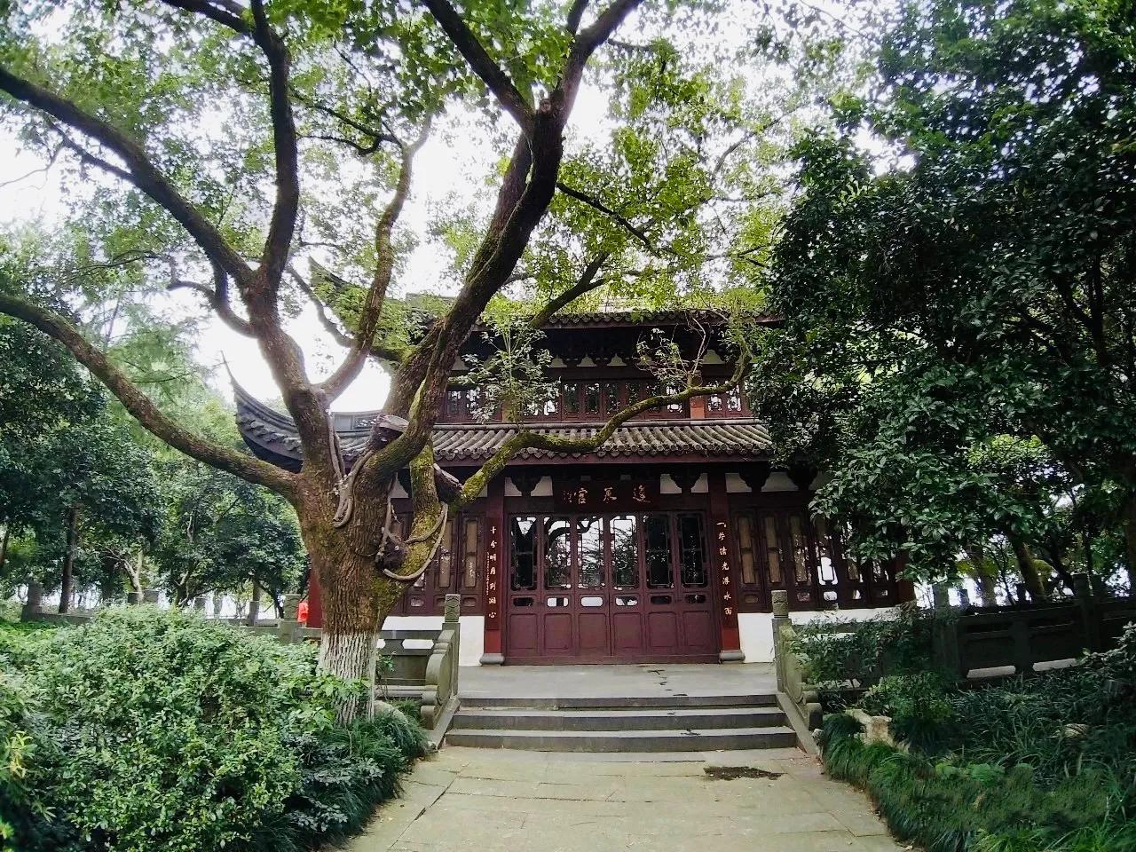 杭州西湖大雪纷飞,杭州西湖风景名胜区