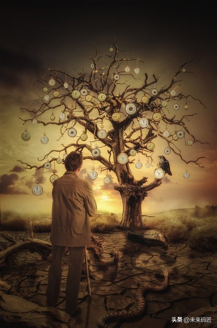 自在与命运：探寻“不由自主”的内涵