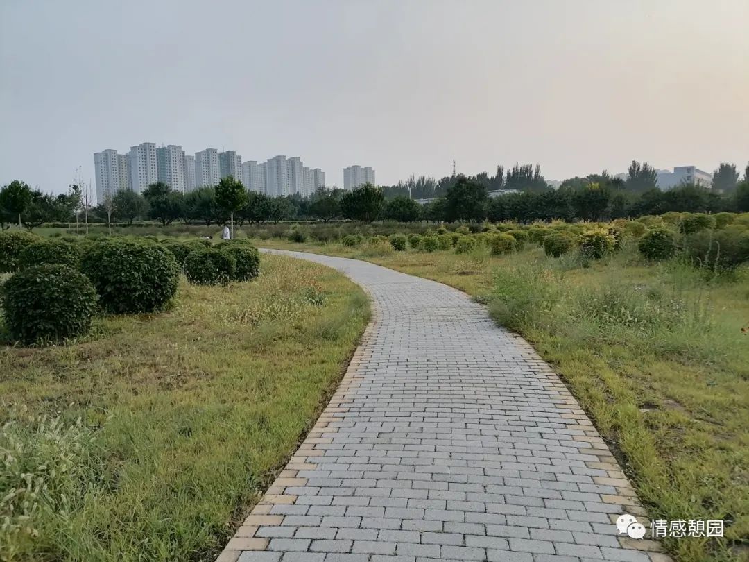 一段路一段情的唯美句子,一段路一段缘