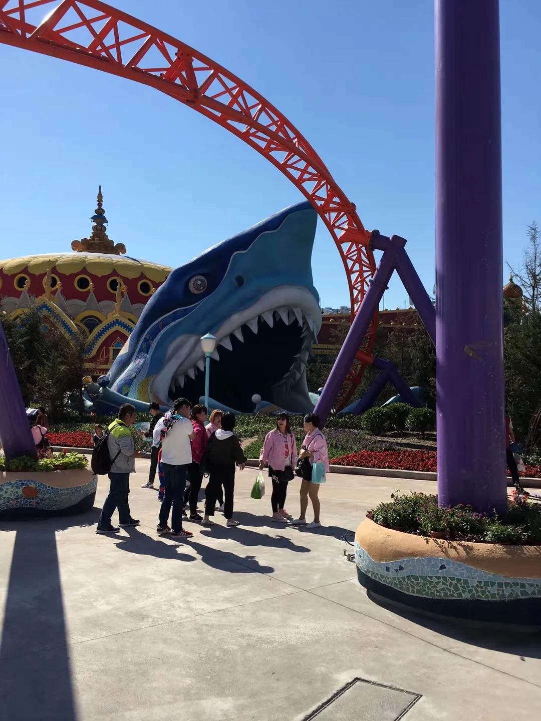 上海海昌海洋公园极限挑战,上海海昌海洋公园在哪个区