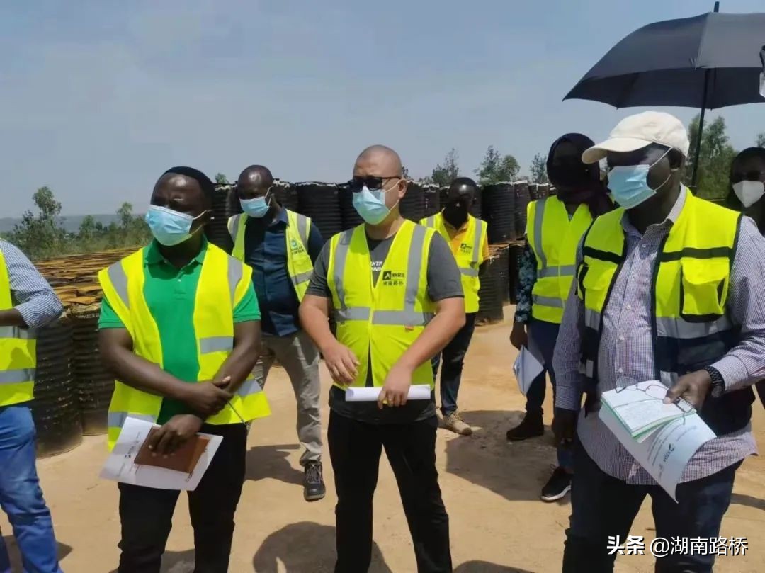 路桥新青年｜王卫：无惧风雨的“海燕”