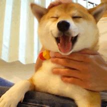 中国人下南洋如何白手起家,白手起家的人特征