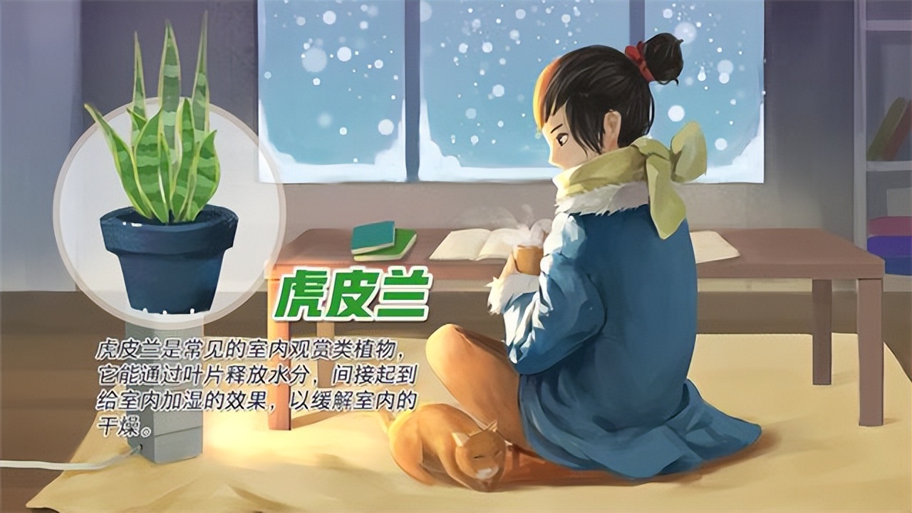 冬季天气干燥房间保湿,冬季室内干燥如何保湿小窍门