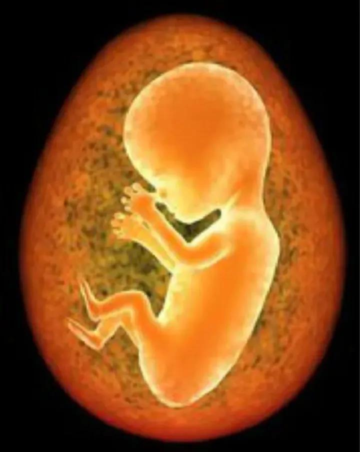 人死了去了哪里科学解释,人死后去哪儿了