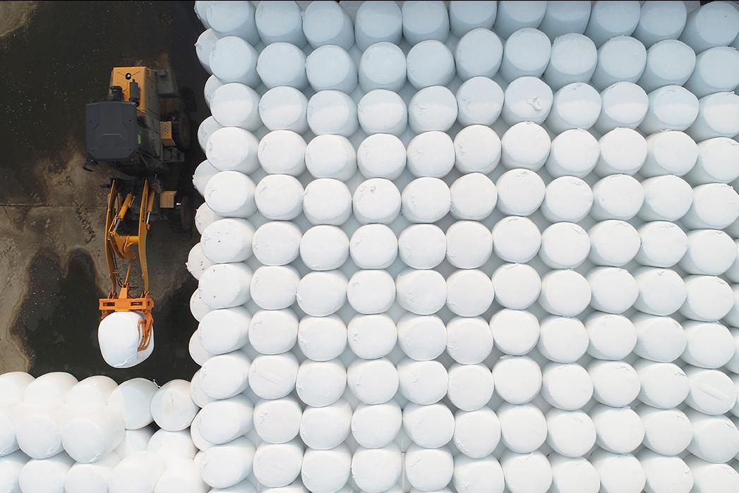 一台收割机9小时收割小麦45公顷,最新款玉米收割机青储收割视频