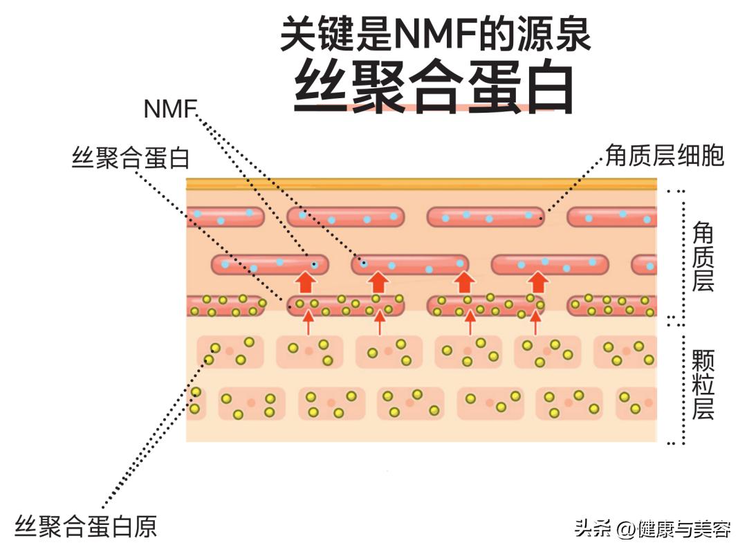 皮肤科医生告诉你如何护肤,皮肤科医生推荐的护肤好习惯