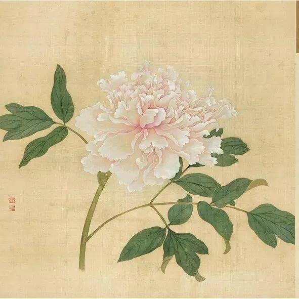 蒋廷锡牡丹画法,蒋廷锡百种牡丹画法