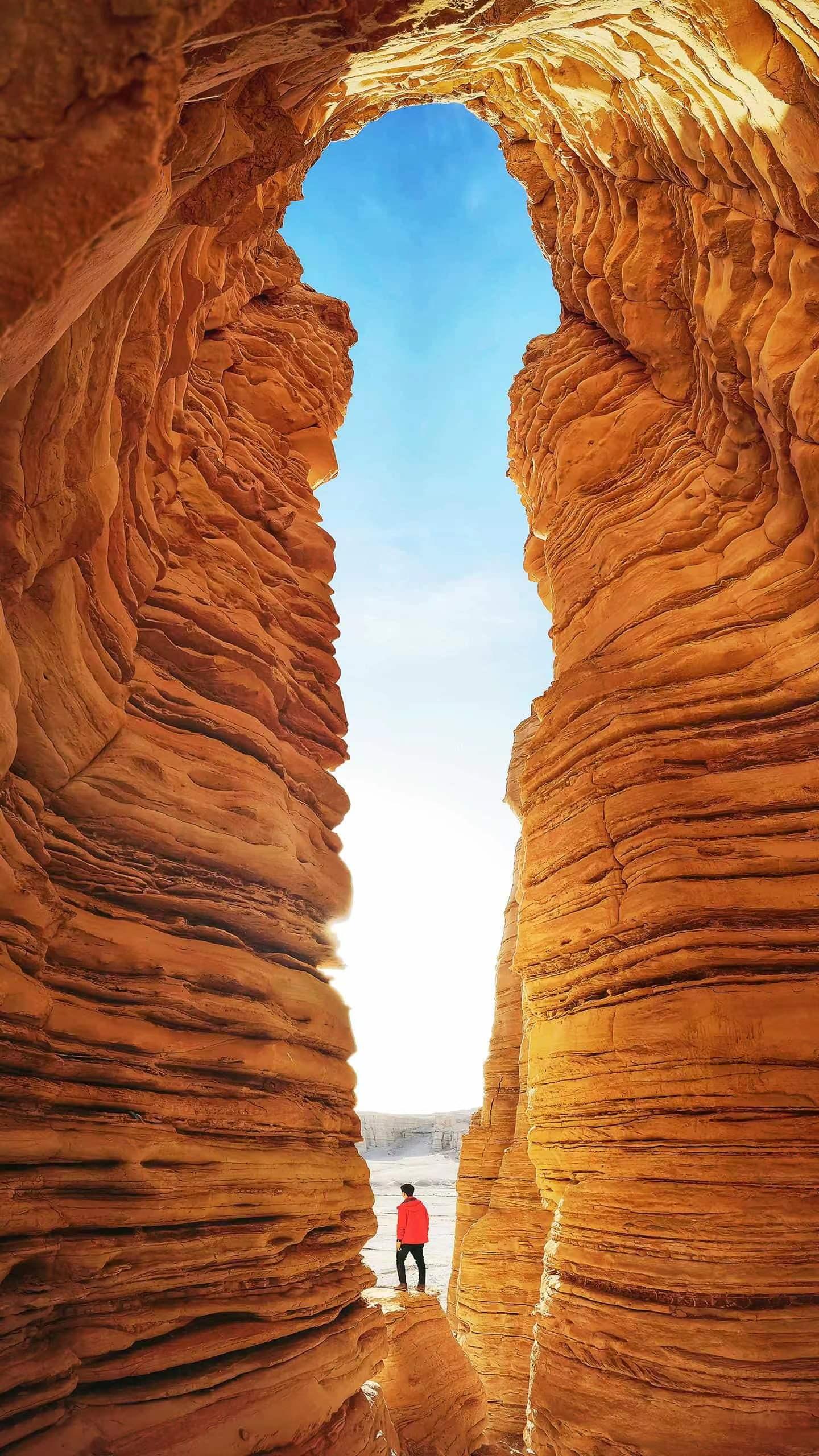 时势造英雄，当下做什么最赚钱