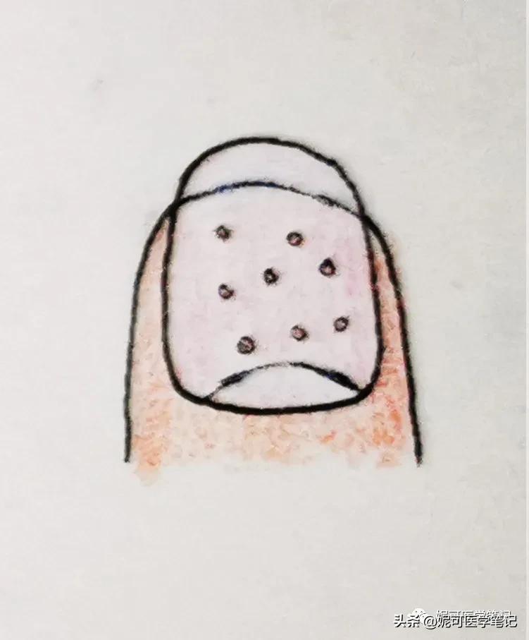 进行手部指甲养护的步骤,手部理疗和指甲护理