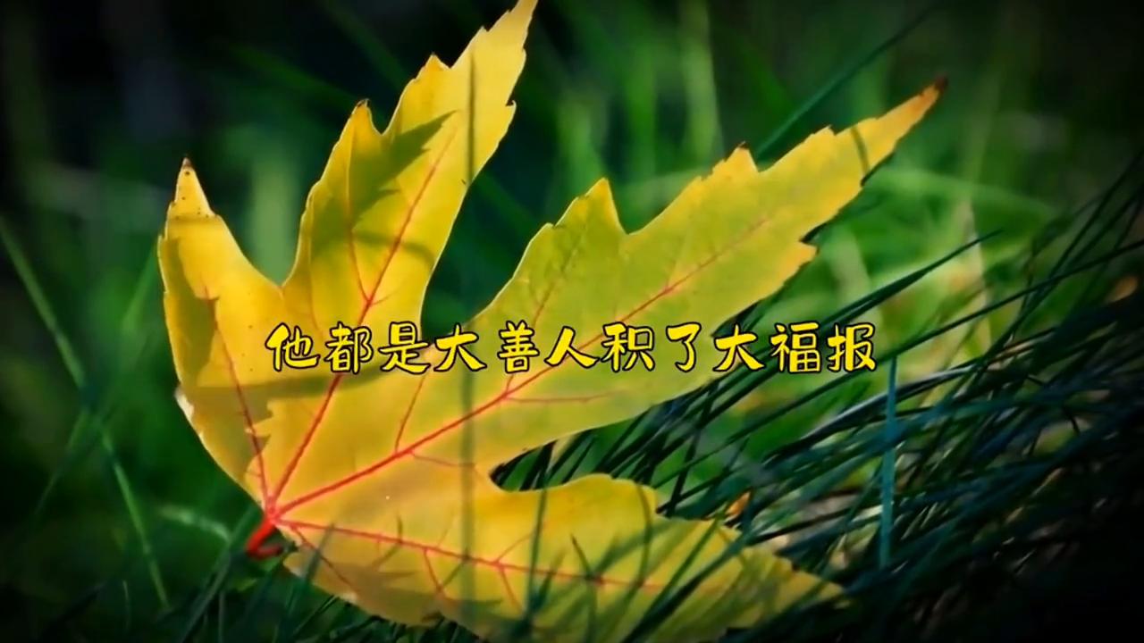 接福接财接好运头像男,生肖蛇接福接财接好运