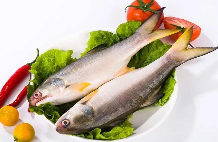 海鲜有什么品种的鱼类好吃,海鲜鱼类名字大全