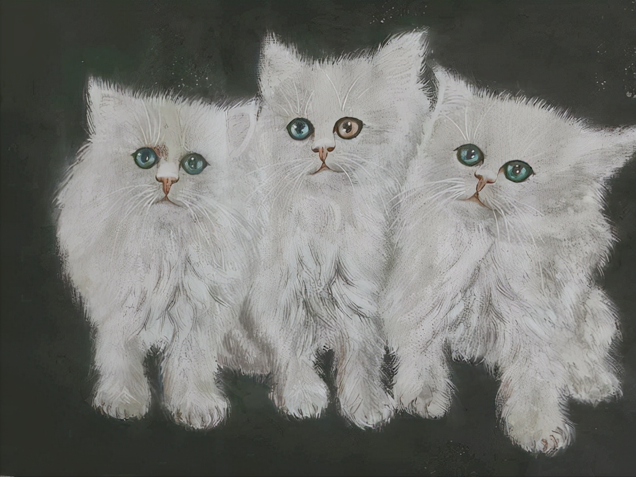 当年的钓点早已无鱼可钓，但鱼就在水中，真正的垂钓者都能看见