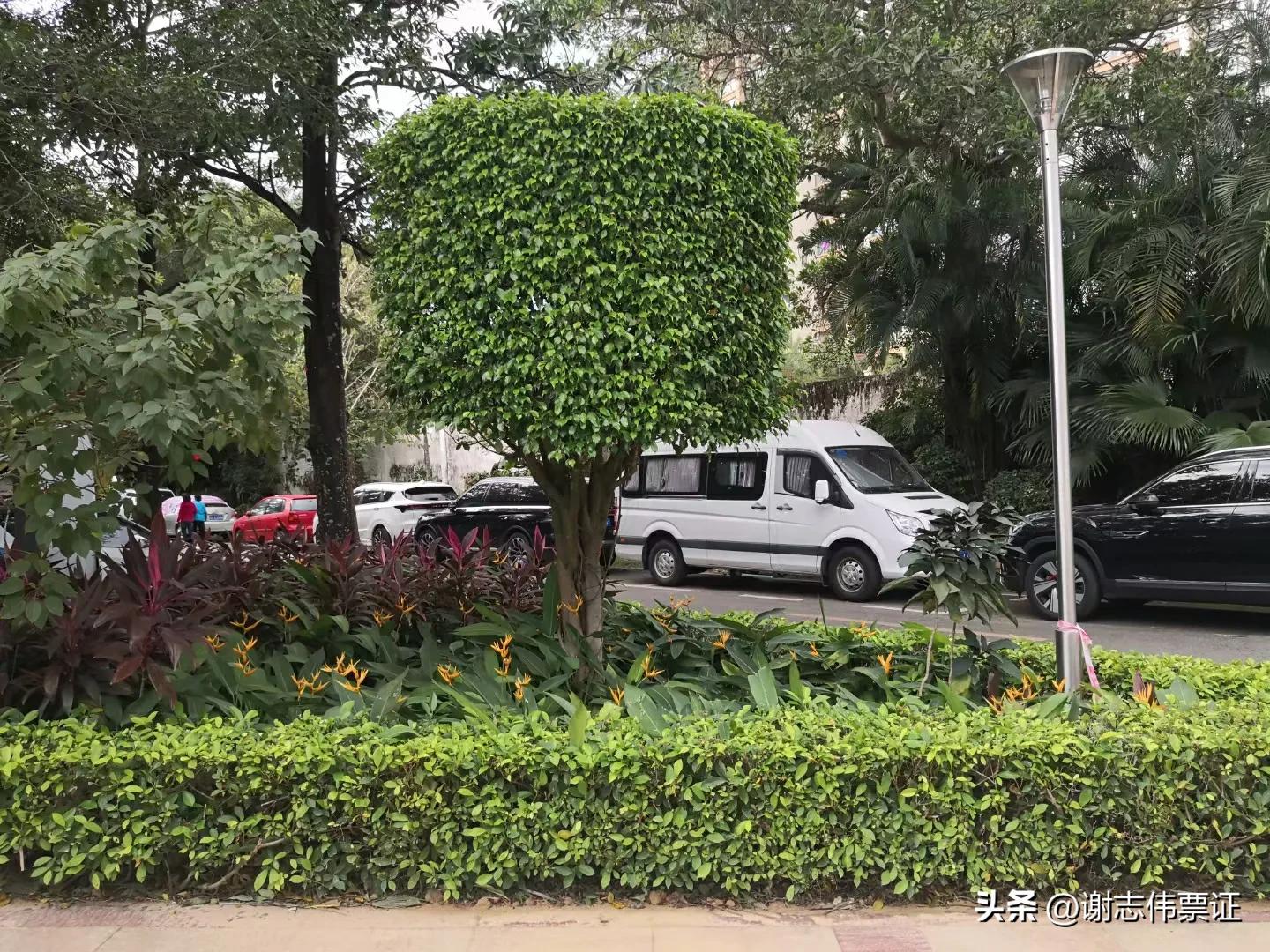 海南风情（050）彩色转盘新颖别致