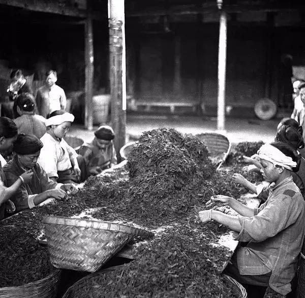 1937年日本入侵中国的真实历史,1937年日本进中国视频