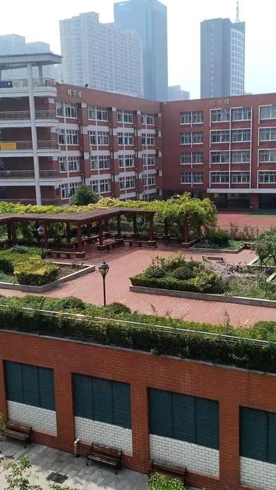 郑州市初三一模成绩对应排名,郑州2020初三一模成绩分段