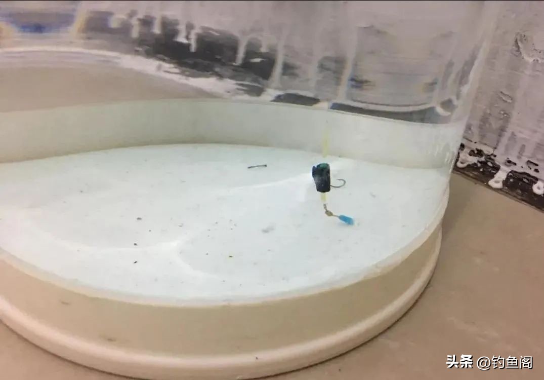 长竿钓鲫鱼怎么选漂和调漂,长竿钓鲫鱼调漂怎么调视频