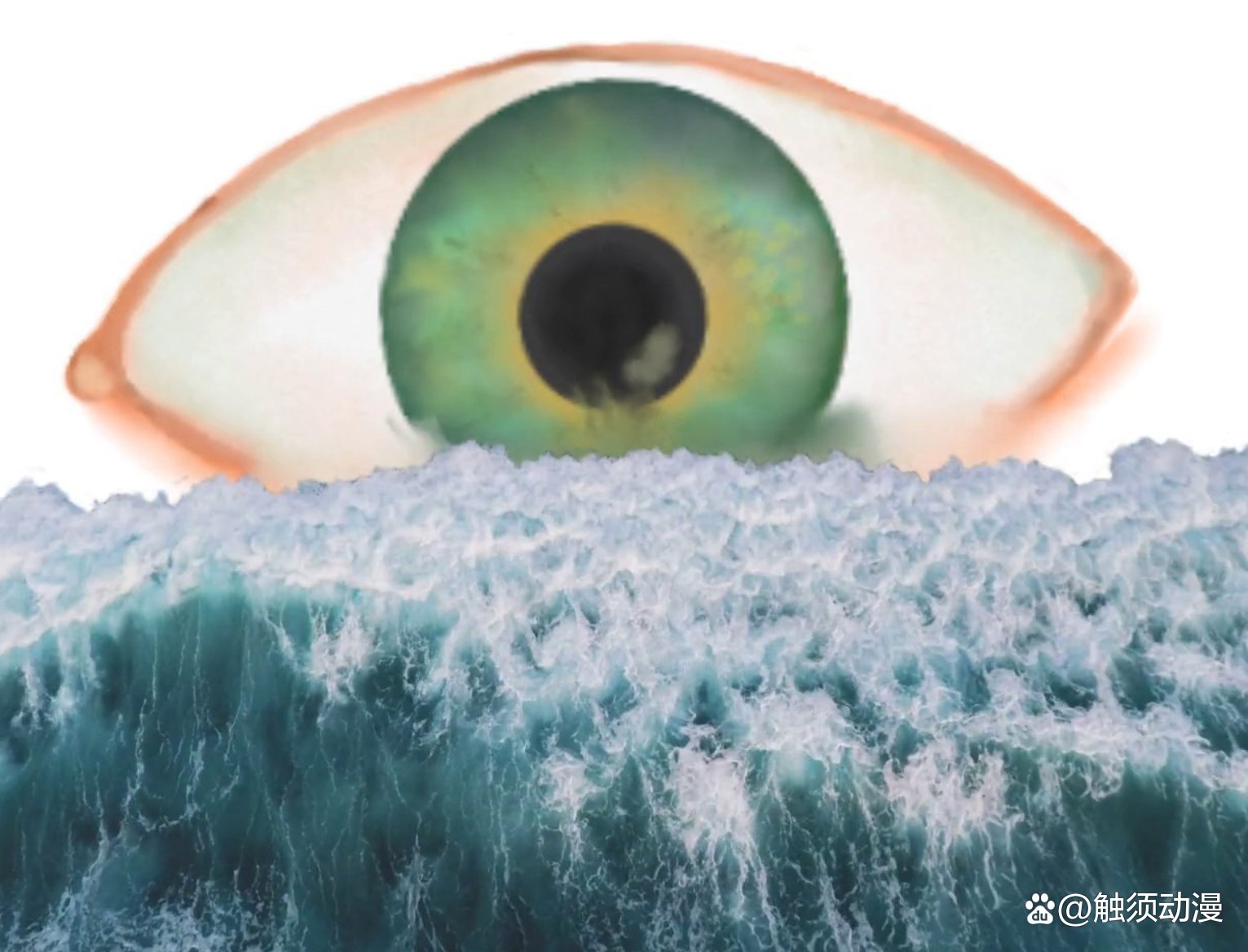 巴西足球王国完整视频,足球王国巴西