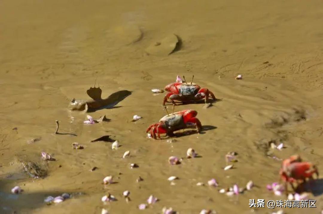国庆小众游玩古镇美食,逛古镇品美食登山观景
