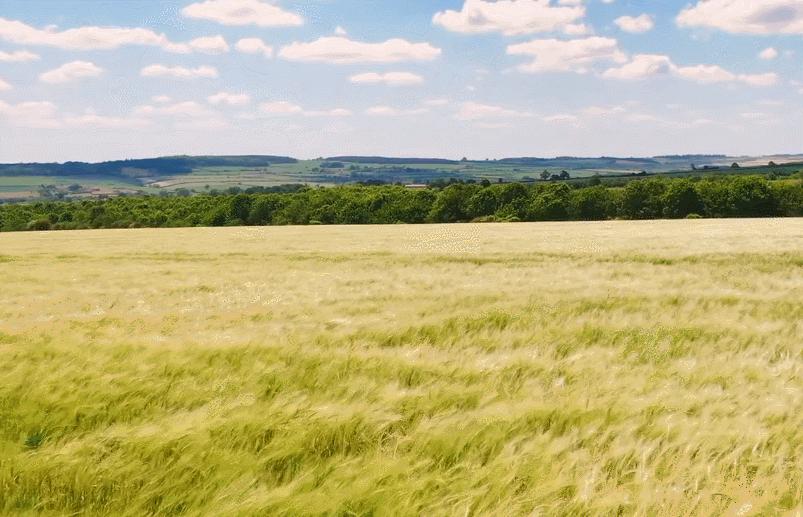 英国富豪农场纪录片,英国富豪农场主纪录片