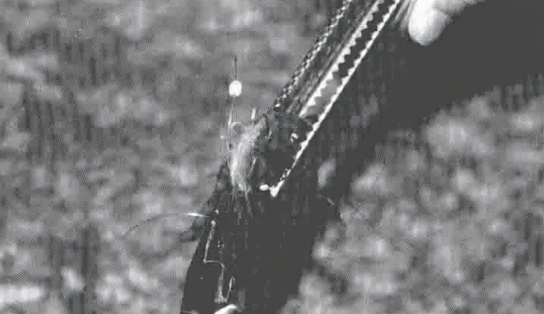 十一种投钓钓具让你成为海钓高手「日本专业海钓入门投钓书籍」