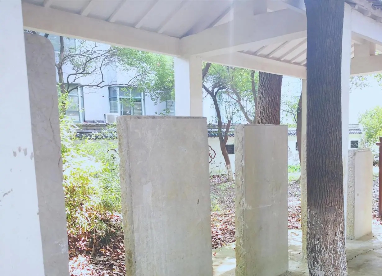 宜兴和桥建湿地公园,宜兴和桥公园