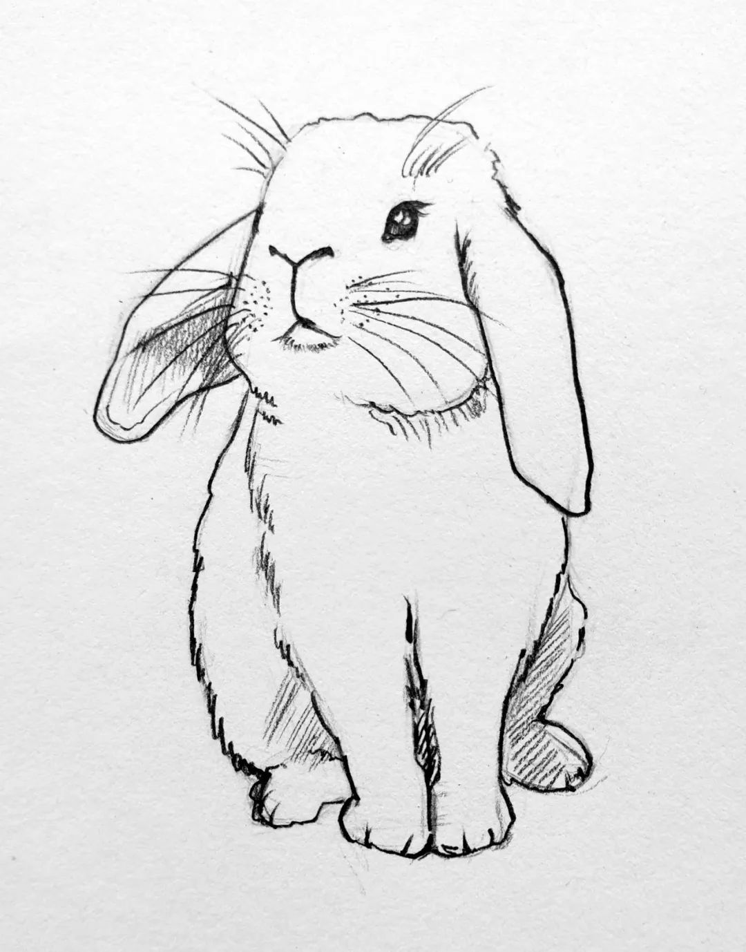 简笔画小动物小兔子三种画法,小兔子的画法大全可爱简笔画