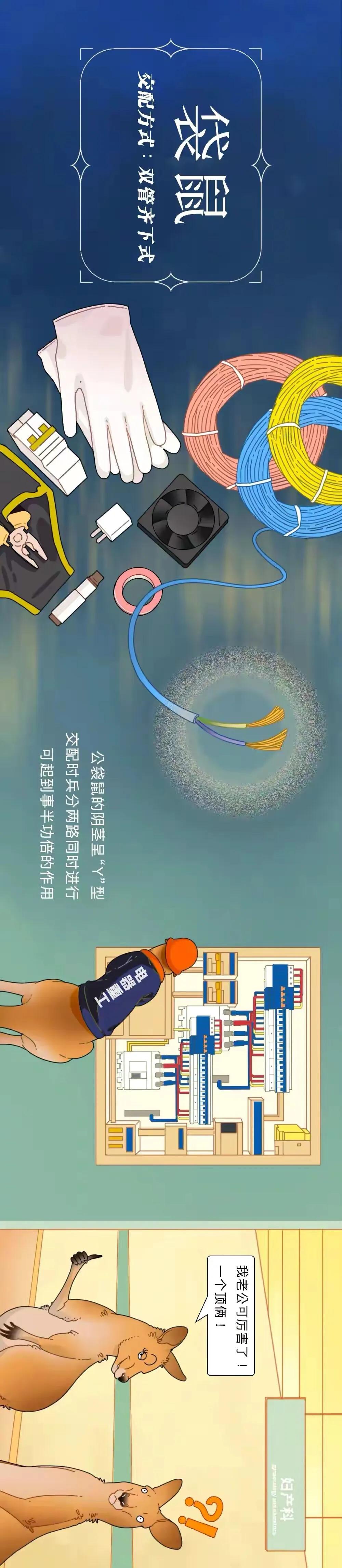 海陆空动物交配姿势对照表（严肃正经版）