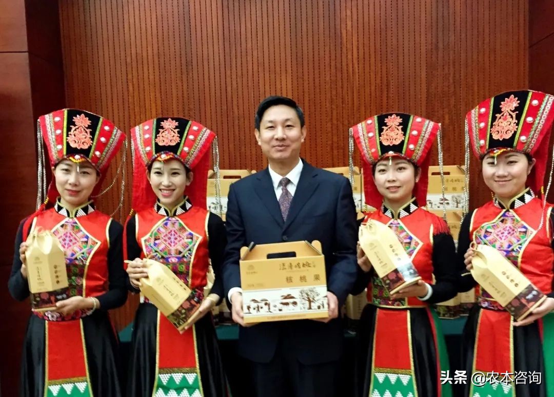 漾濞县核桃产业,漾濞核桃多样性