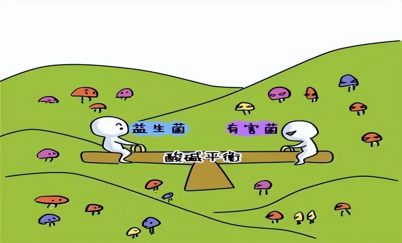 阴道菌群对女性生育的影响