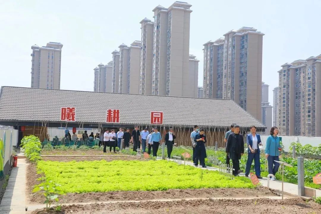 让美好继续让教育更好地发生丨西安高新区第十一小学办学成果展