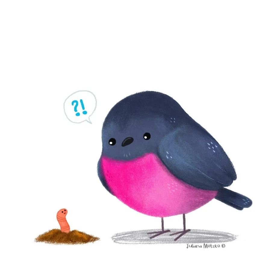 鸟类插画大全,鸟类插画艺术欣赏