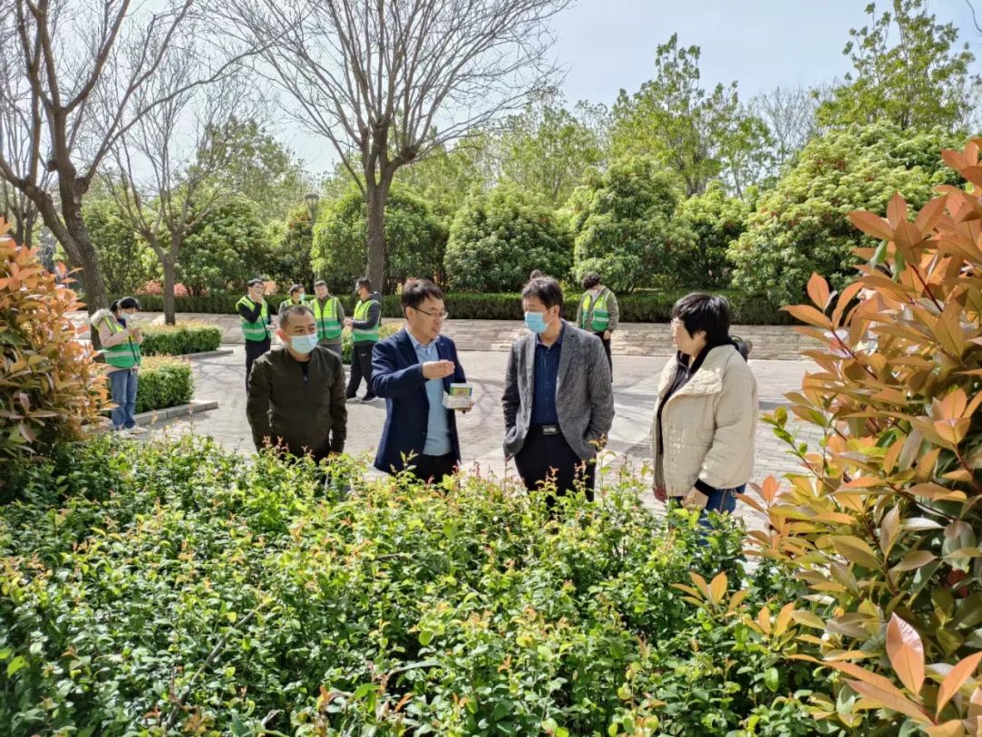 以虫治虫保护生态:济源“异色瓢虫”走进郑州园林