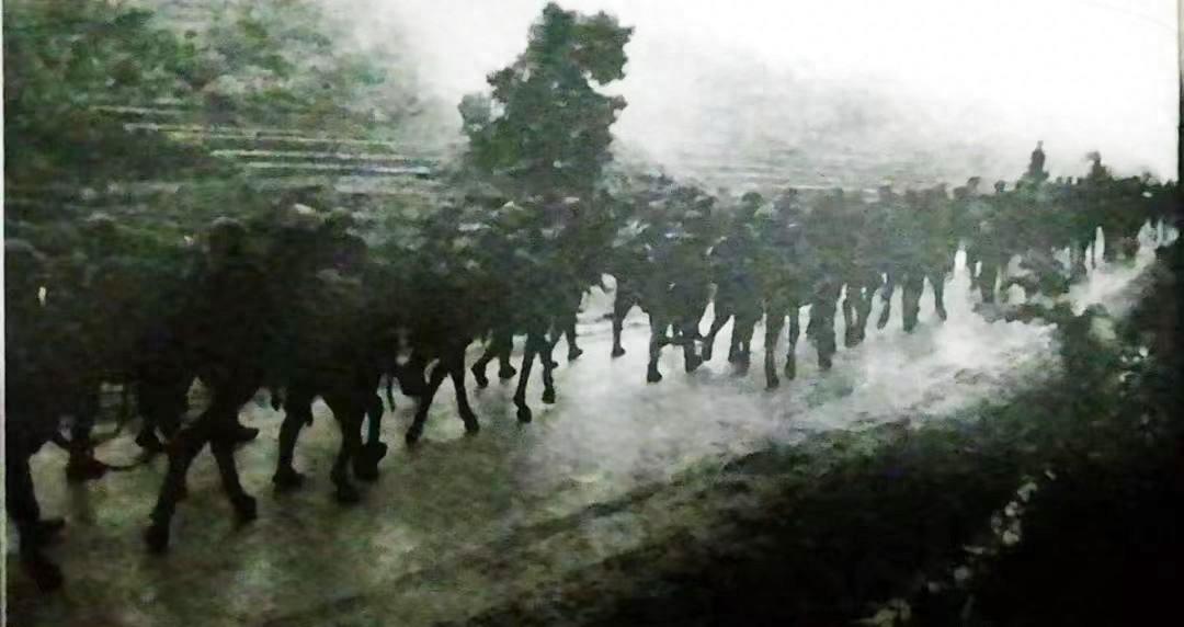 鐑堝＋姣嶄翰鐧藉彂,鐑堝＋姣嶄翰鐪兼唱