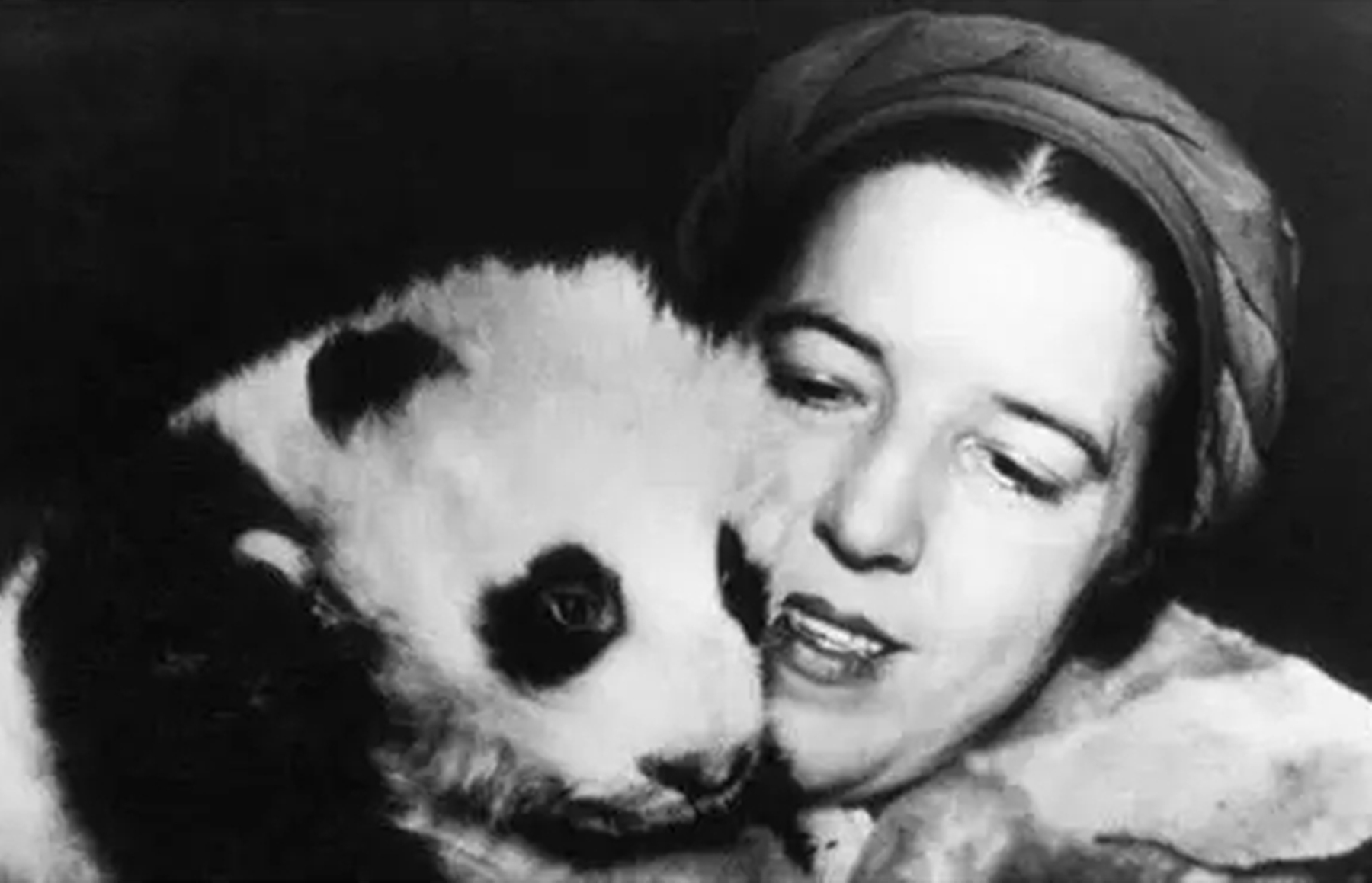 1937年大熊猫被外国人偷走,1939年被伦敦偷走的大熊猫