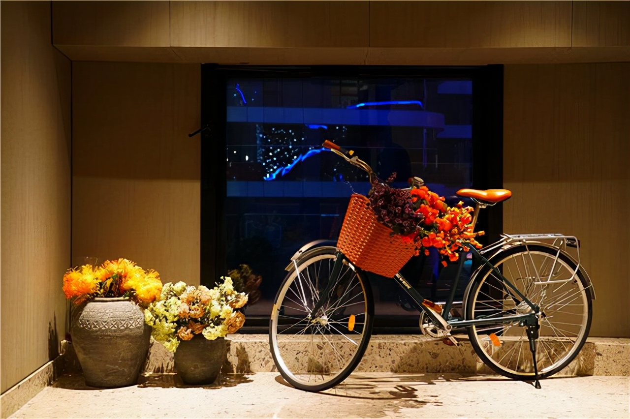 苏州东太湖游玩攻略,新年苏州旅游攻略三天两夜