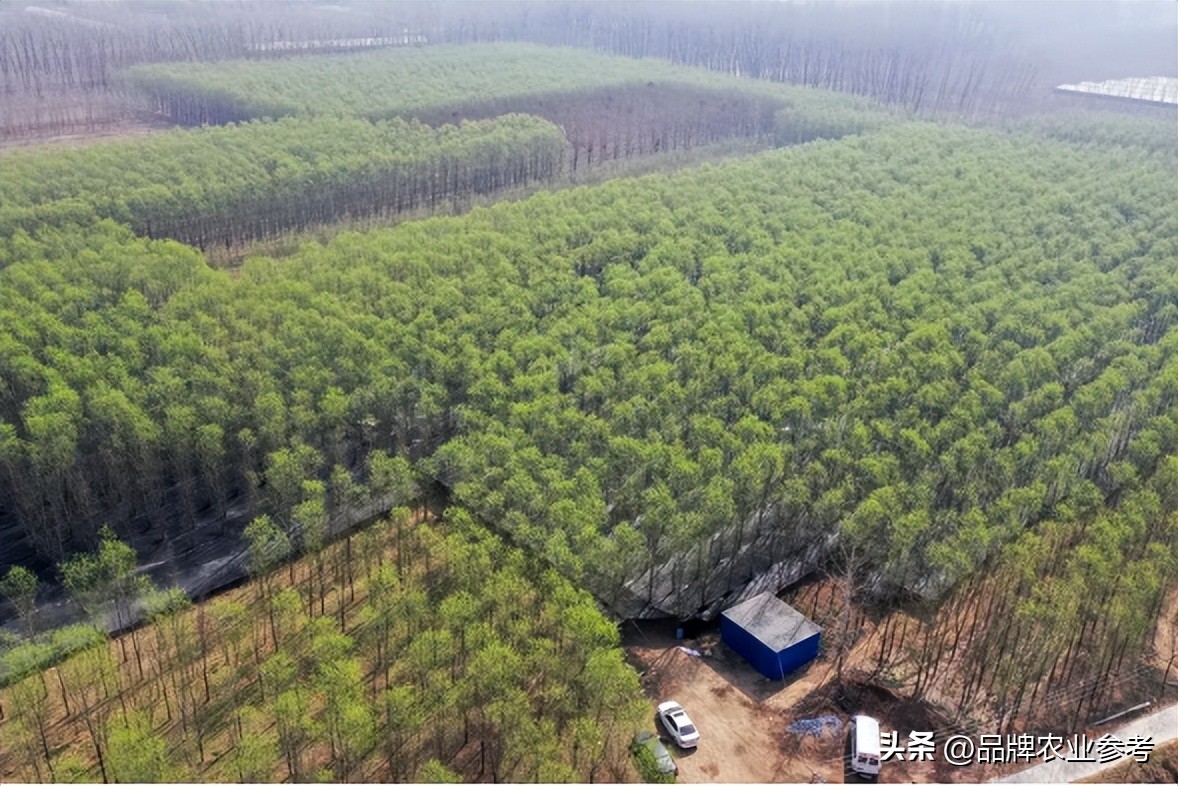 95后小伙捡破烂为生如今身价过亿,90后小伙靠捡烟头年入百万