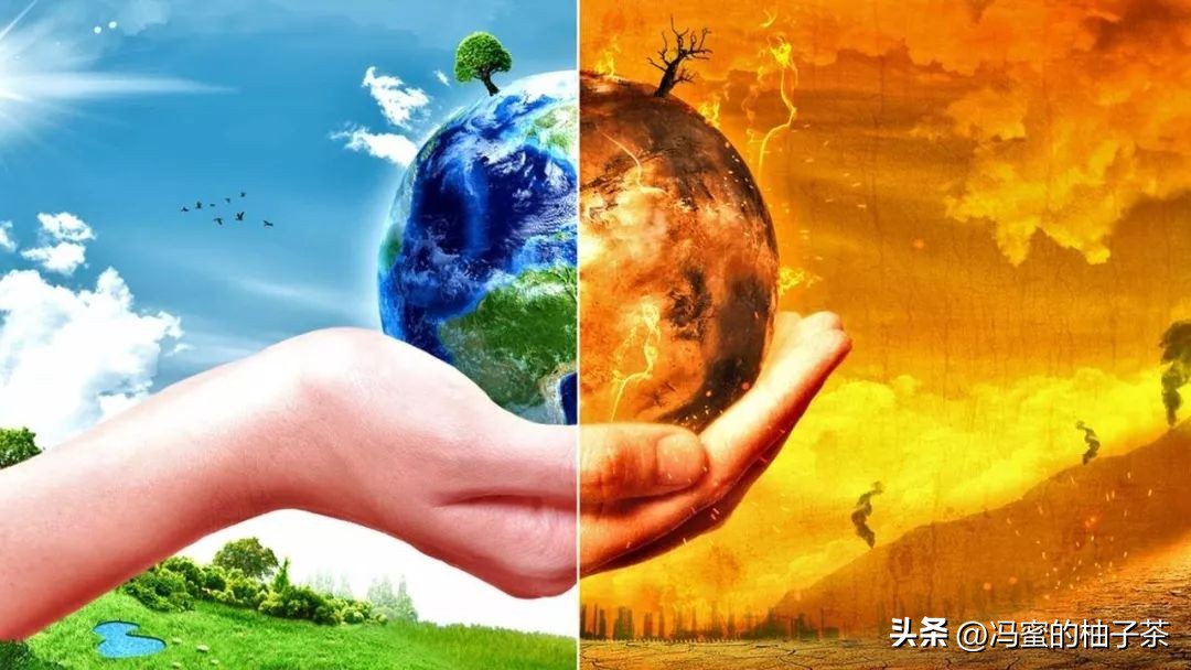 生物多样性的保险价值，在经济学框架中有何意义？