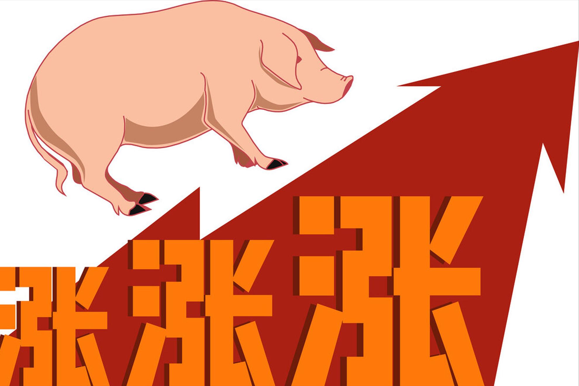 5月5号猪价还能上涨吗,5月28日猪价行情分析师讲解