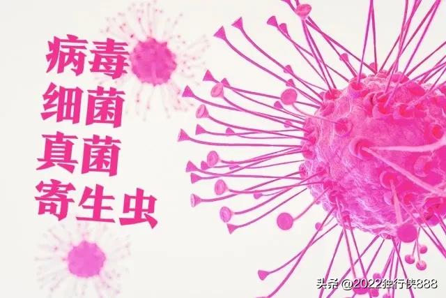 幼儿手脚心发热是什么原因,幼儿间断性发热是怎么回事