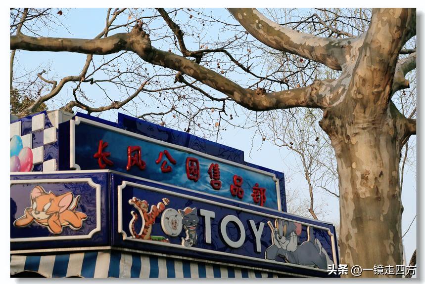 上海长风海洋公园和自然博物馆,上海长风公园占地面积