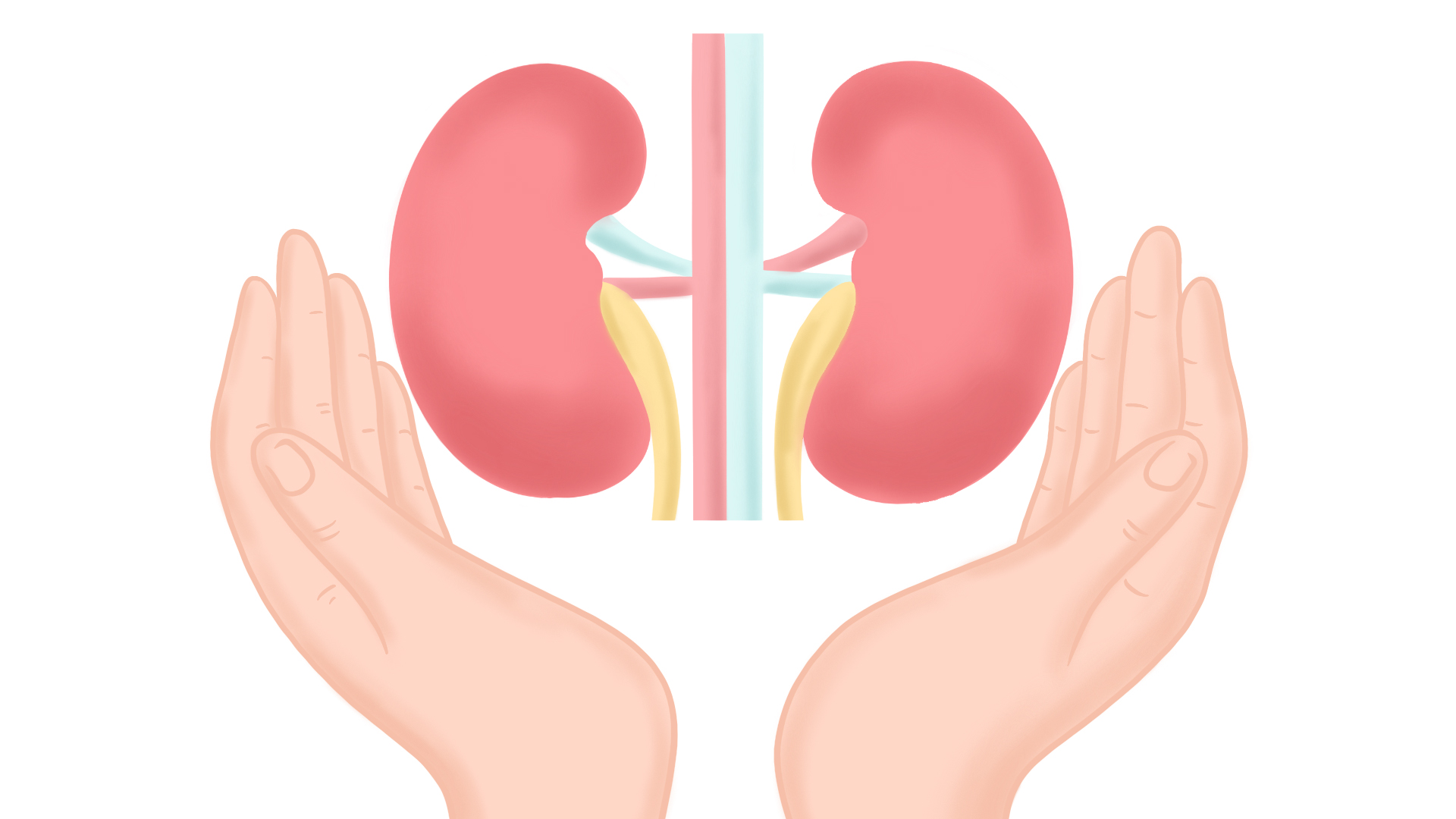 日常生活中如何让肾更健康,做什么动作有助于肾的恢复